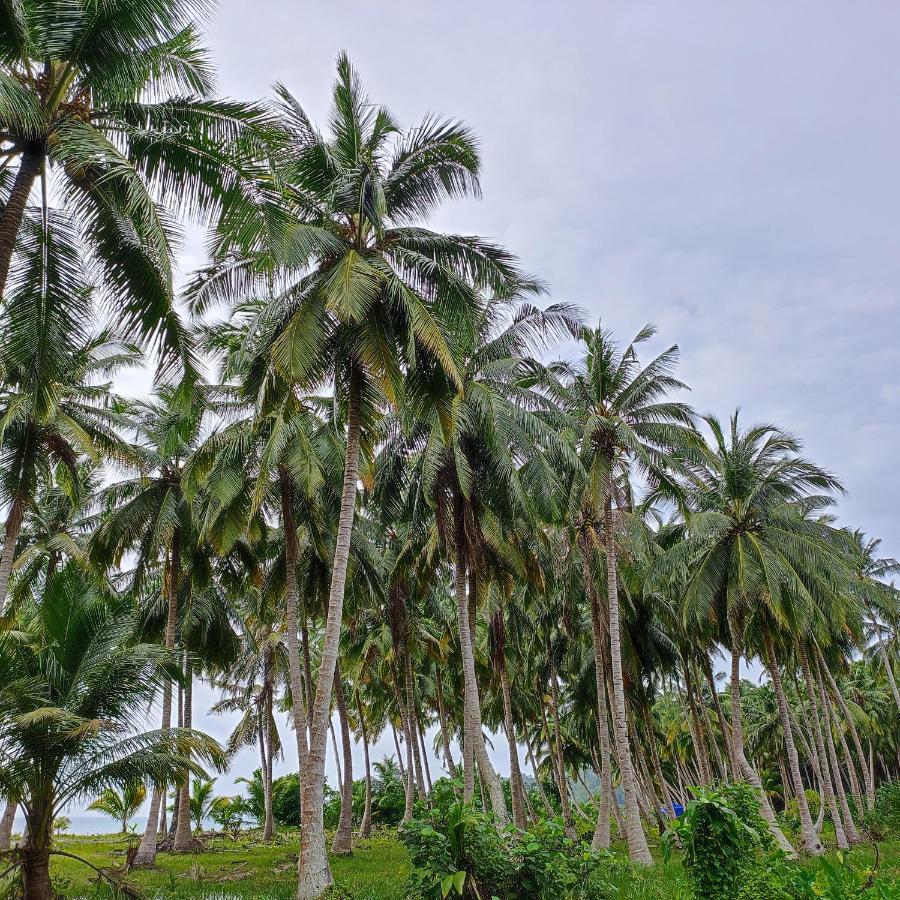 Honey Moon Beach Resort ANDAMAN AND NICOBAR ISLANDS Kültér fotó